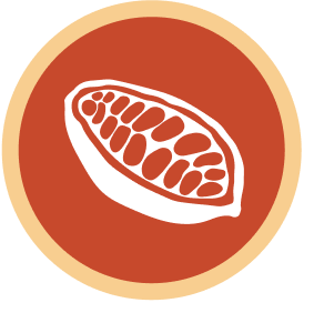 cocoa bean