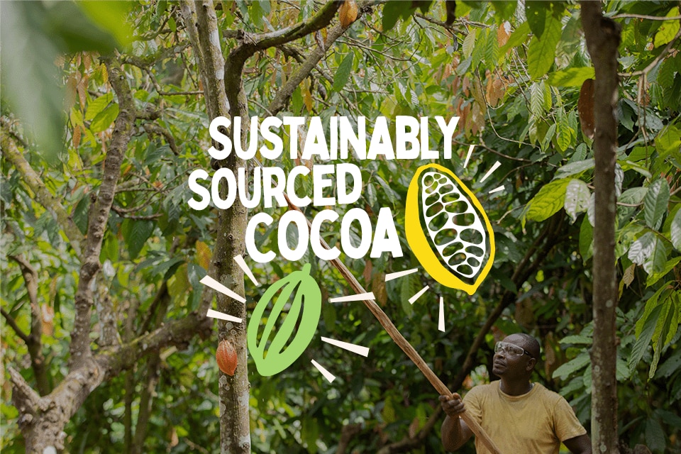Sustainably Sourced Cocoa