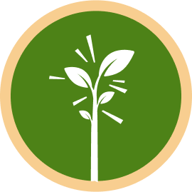 plants